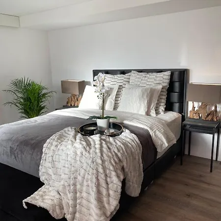 Private Spa Lux With Whirlpool And Sauna In Zurich-2